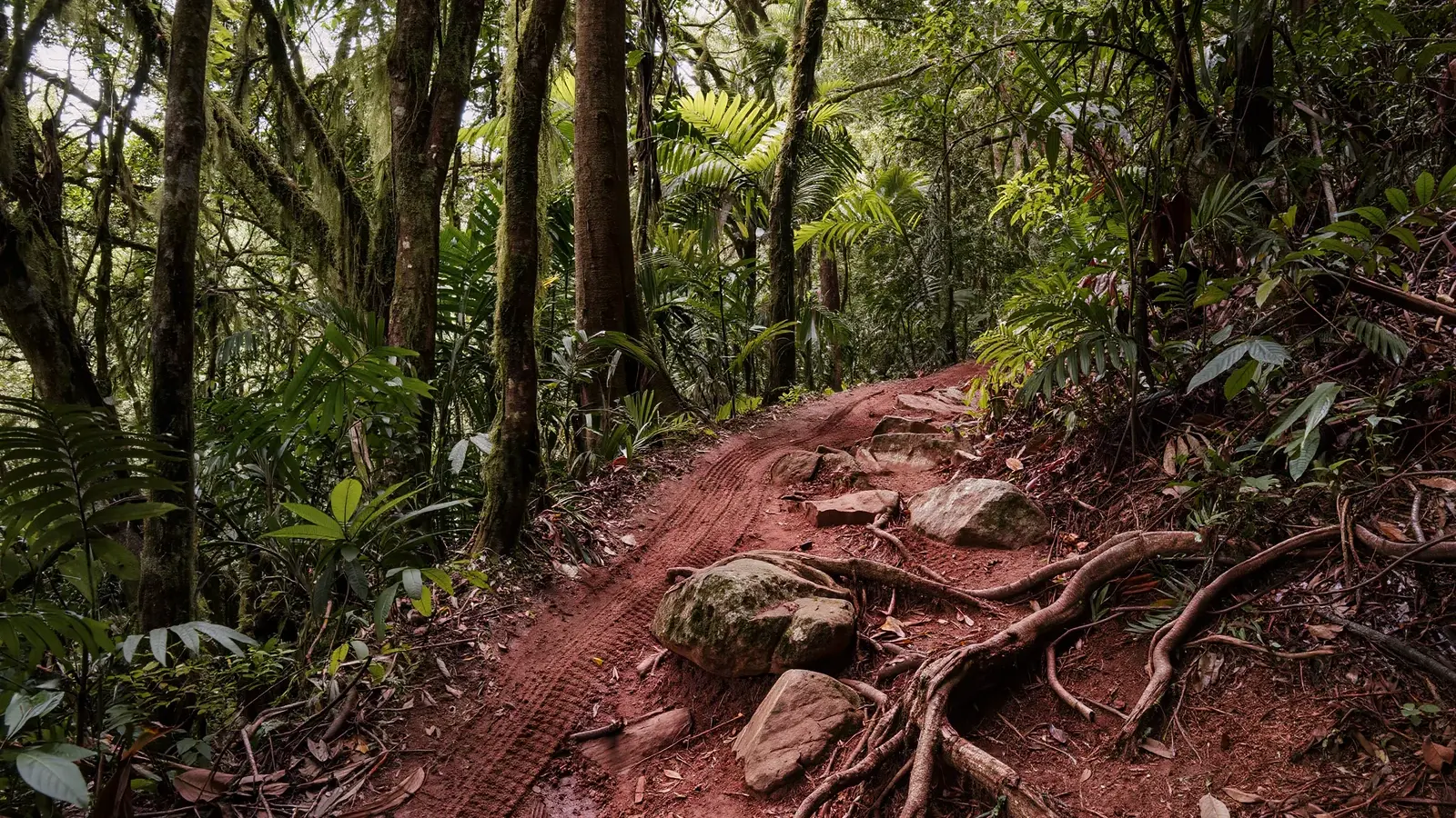 XTERRA ou asfalto: o mesmo triathlon vira outro esporte quando sai da estrada