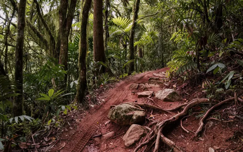 XTERRA ou asfalto: o mesmo triathlon vira outro esporte quando sai da estrada