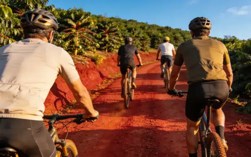 Qual é a velocidade média de uma bicicleta? A faixa pelo seu nível, pela bike e pelo terreno